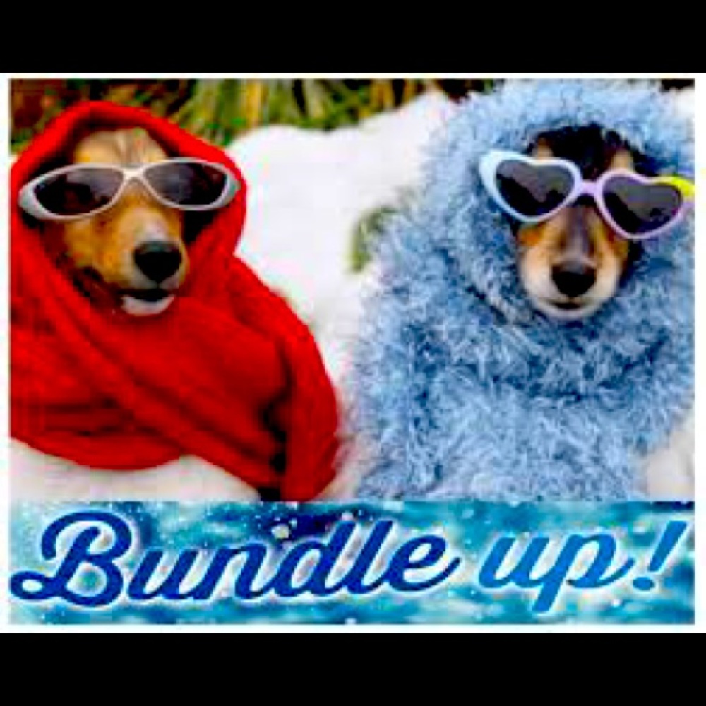 Posh Jackets & Coats